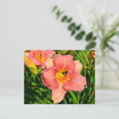 Lebhafte Blume der Taglilie Postkarte (Stehend Vorderseite)