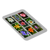 Lebhafte Blume im Garten Magnet (Rechte Seite)