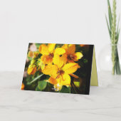 Lebhafte Blume Karte (Rückseite)