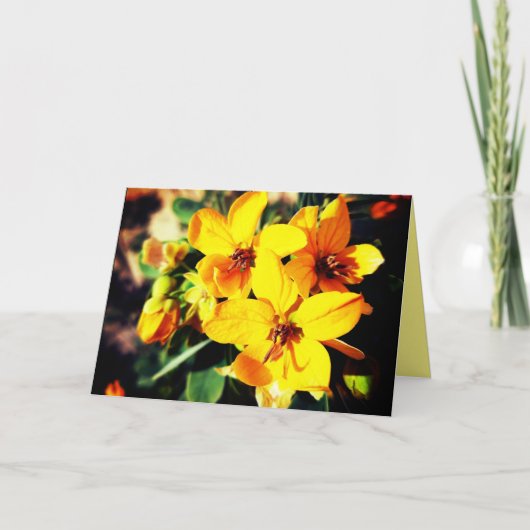 Lebhafte Blume Karte (Vorderseite)