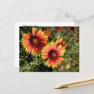Lebhafte Blume Postkarte