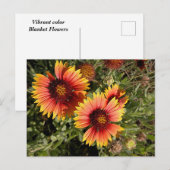Lebhafte Blume Postkarte (Vorne/Hinten)