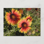 Lebhafte Blume Postkarte (Vorderseite)