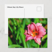 Lebhafte Blume Postkarte (Vorne/Hinten)