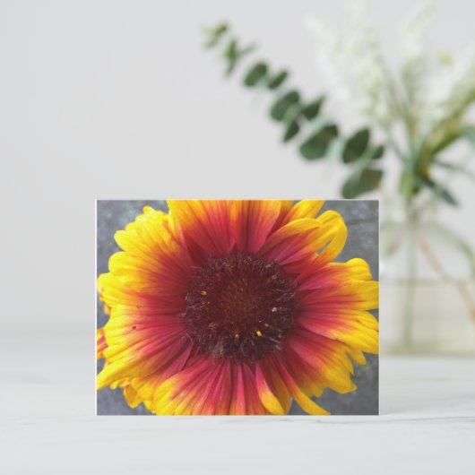 Lebhafte Blume Postkarte (Stehend Vorderseite)