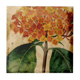 Lebhafte Blüte I Fliese