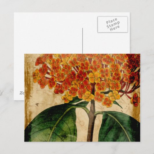 Lebhafte Blüte I Postkarte (Vorne/Hinten)