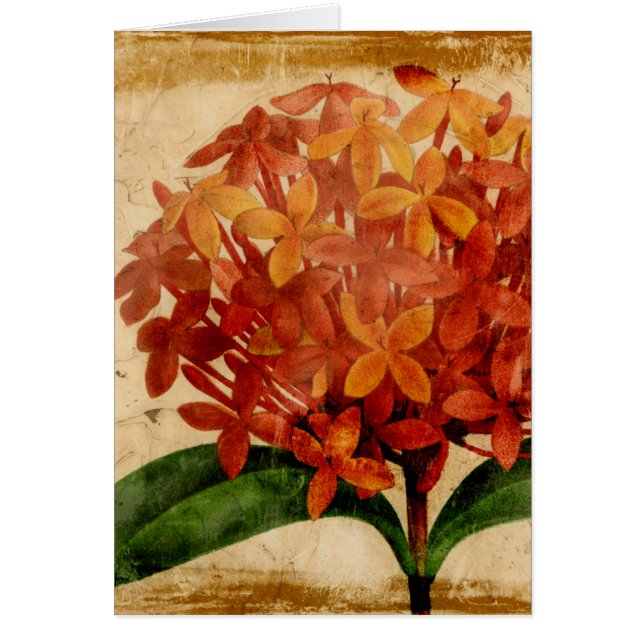 Lebhafte Blüte III (Vorne)