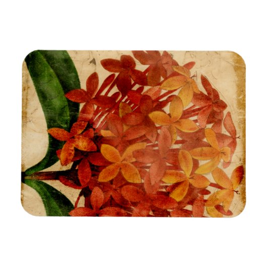 Lebhafte Blüte III Magnet (Horizontal)