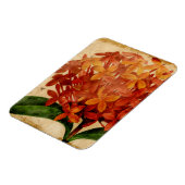 Lebhafte Blüte III Magnet (Linke Seite)