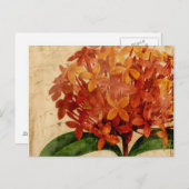 Lebhafte Blüte III Postkarte (Vorne/Hinten)