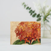 Lebhafte Blüte III Postkarte (Stehend Vorderseite)