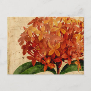 Lebhafte Blüte III Postkarte