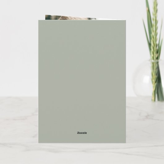 Lebhafte Botanische Blütenblütenhochzeit Einladung (Rückseite)