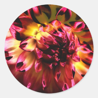 Lebhafte, einzigartige Blume Runder Aufkleber