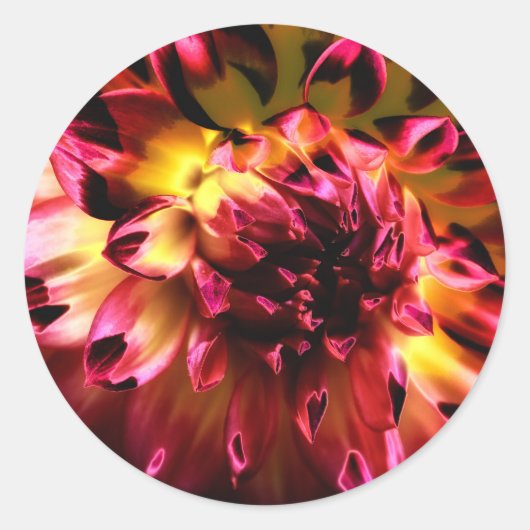 Lebhafte, einzigartige Blume Runder Aufkleber (Vorderseite)