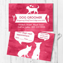 Lebhafte Erinnerung für Pink Dog Groomer Ernennung