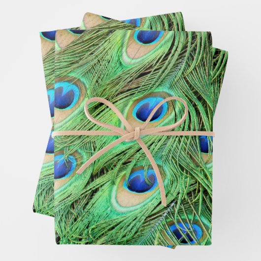 Lebhafte exotische Pfauenfedern Geschenkpapier Set (Beispiel)