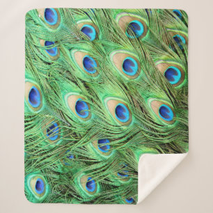 Lebhafte exotische Pfauenfedern Sherpadecke