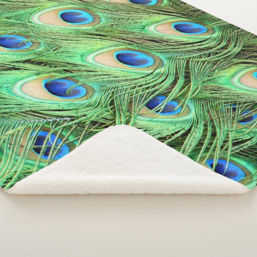 Lebhafte exotische Pfauenfedern Sherpadecke (3/4)