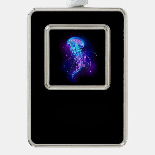 Lebhafte Farbe leuchtende Qualle Rahmen-Ornament Silber (Vorderseite)