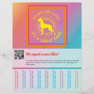 Lebhafte Farben, die Flyer verkaufen