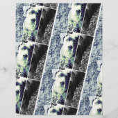 Lebhafte Farben, die Flyer verkaufen (Hinten)