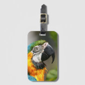 Lebhafte farbenfrohe Maca Gepäckanhänger (Vorderseite Vertikal)