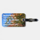 Lebhafte farbige Ahorn Gepäckanhänger (Rückseite horizontal)