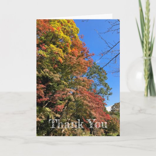 Lebhafte farbige Ahorn Karte (Vorderseite)