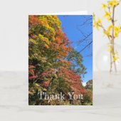 Lebhafte farbige Ahorn Karte (Gelbe Blume)