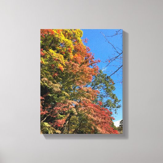 Lebhafte farbige Ahorn Leinwanddruck (Vorderseite)