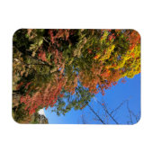 Lebhafte farbige Ahorn Magnet (Horizontal)