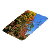 Lebhafte farbige Ahorn Magnet (Linke Seite)