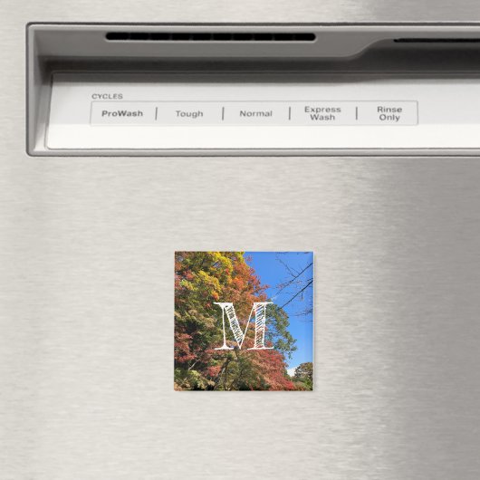 Lebhafte farbige Ahorn Magnet (In Situ (Geschirrspüler))