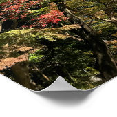 Lebhafte farbige Ahorn Poster (Ecke)