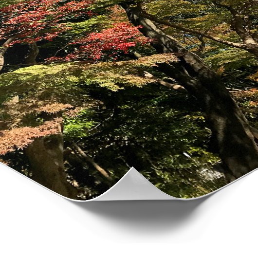 Lebhafte farbige Ahorn Poster (Ecke)