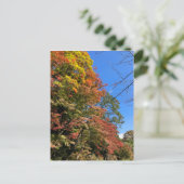 Lebhafte farbige Ahorn Postkarte (Stehend Vorderseite)