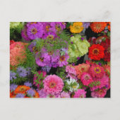 lebhafte Farbtönen Postkarte (Vorderseite)