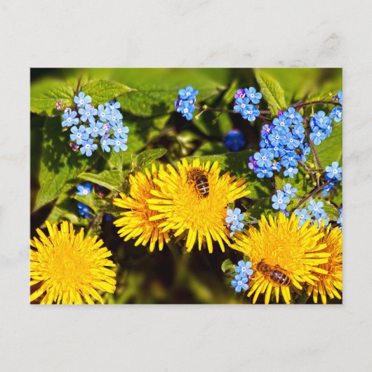 Lebhafte Frühlingsblütenleuchter-Blume Postkarte (Vorderseite)