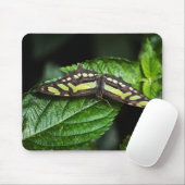 Lebhafte grüne Mousepad (Mit Mouse)