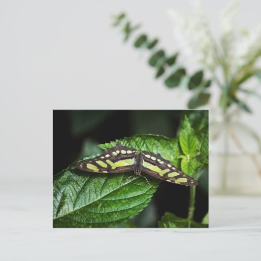 Lebhafte grüne Postkarte (Stehend Vorderseite)