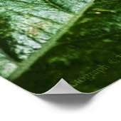 Lebhafte grüne Printwerbung Poster (Ecke)