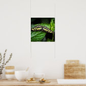 Lebhafte grüne Printwerbung Poster (Küche)
