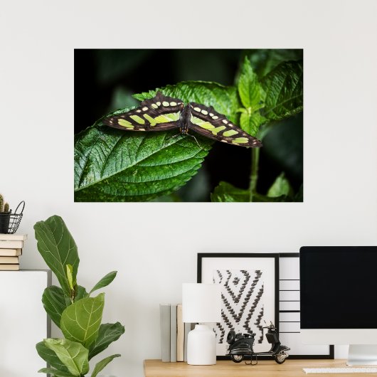 Lebhafte grüne Printwerbung Poster (Heimbüro)