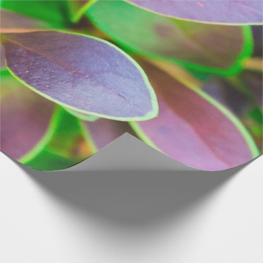 Lebhafte grüne und lila Blätter Geschenkpapier (Ecke)