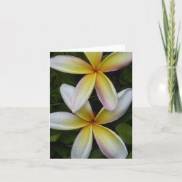 Lebhafte hawaiianische Blume geklappte Grußkarte Karte