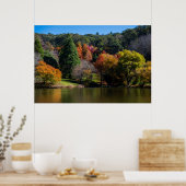 Lebhafte Herbstfarben Landschaftsbäume Poster (Küche)