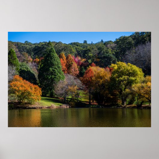 Lebhafte Herbstfarben Landschaftsbäume Poster (Vorne)