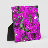 Lebhafte Lila Bougainvillea-Blume Fotoplatte (Vorderseite)